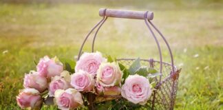 Co wrzucamy do czerwonego kosza na śmieci?