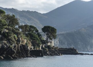 Ile kosztuje dobra poduszka do spania?