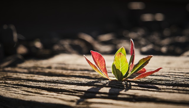 Ile podkładów na łóżko do szpitala forum? Ile podkładów na łóżko do szpitala forum?