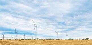 Czego nie wolno rolować?