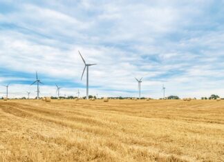 Czego nie wolno rolować?