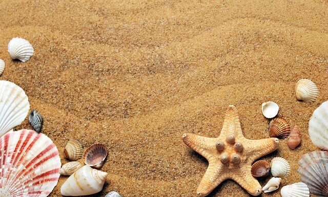 Jakie muszle laktacyjne?