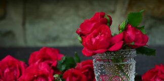 Czego nie wrzucamy do pojemnika zielonego? Czego nie wrzucamy do pojemnika zielonego?