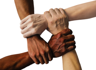 W czym trzymać tabletki do zmywarki?