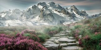 Jak rozgrzać kamienie do masażu?