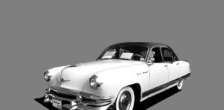 Jak odbudować błonę śluzową jamy ustnej? Jak odbudować błonę śluzową jamy ustnej?