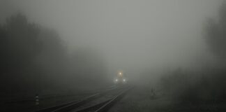 Czy można Połknąć Listerine? Czy można Połknąć Listerine?