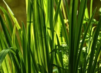 W jakim wieku jest największy popęd seksualny? W jakim wieku jest największy popęd seksualny?