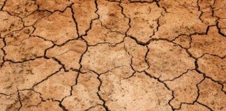 Co zrobić na suchość w jamie ustnej?