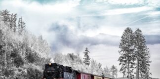 Ile kosztuje pociąg z Calella do Barcelony?