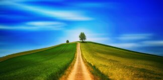 Czy chodzenie o kulach wyrabia mięśnie?