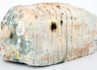 Czym dezynfekować otwarte rany?