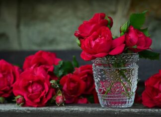 Gdzie wyrzucać brudne pojemniki plastikowe?