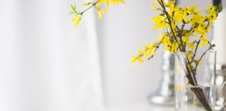 Jakie są plusy sterylizacji?