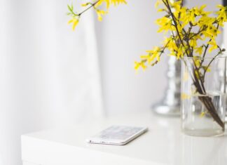 Jakie są plusy sterylizacji?