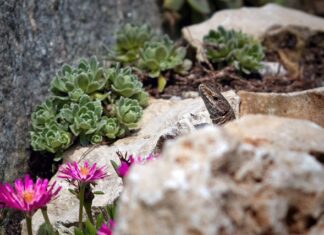 Dlaczego po jednym dniu mam tłuste włosy?