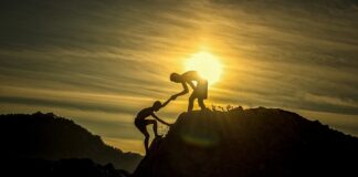 Jak wygląda praca w sterylizatorni? Jak wygląda praca w sterylizatorni?