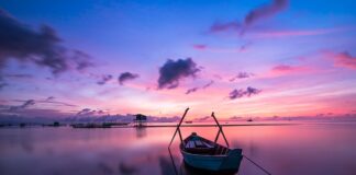 Jaki kolor ma osocze z rany?