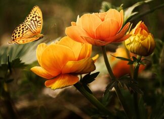 Do czego prowadzi nie mycie się?