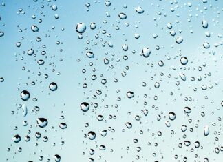 Gdzie wyrzucać mokre chusteczki?