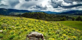 Kiedy smarować się balsamem? Kiedy smarować się balsamem?