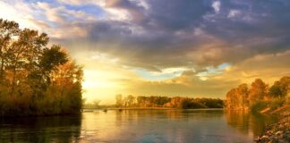 Czy koło zapasowe jest obowiązkowe?