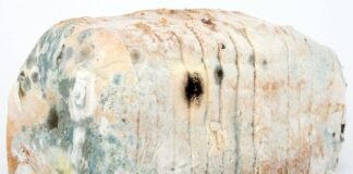 Jak dezynfekować narzędzia bez autoklawu? Jak dezynfekować narzędzia bez autoklawu?