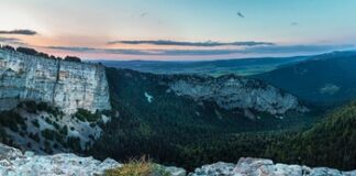 Co pierwsze wdechy czy uciśnięcia?