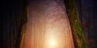 Jak prawidłowo chodzić z balkonikiem?