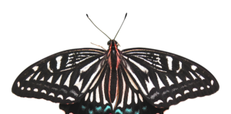 Czy usunięcie cewnika boli?